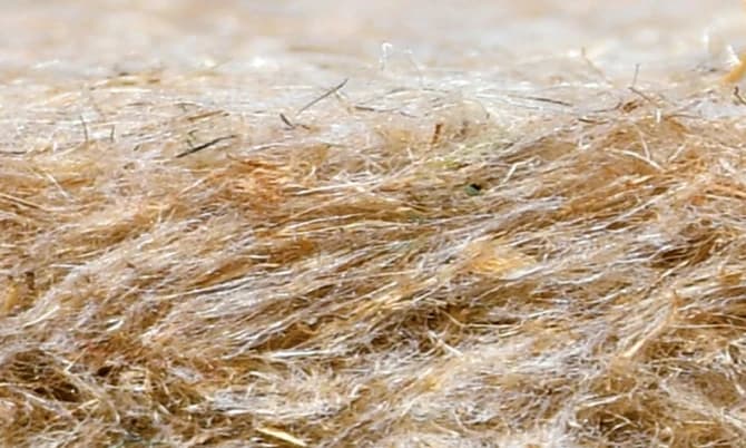 Image alternative text