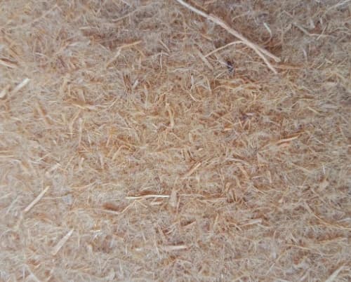 Image alternative text