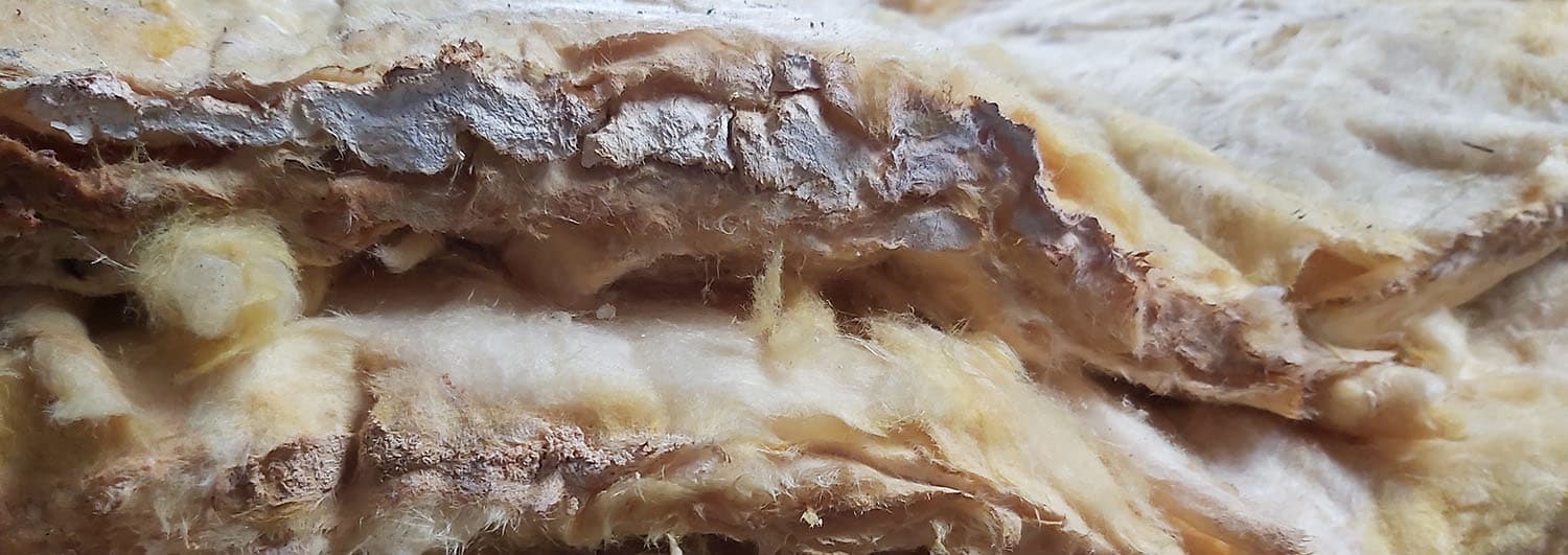 Image alternative text