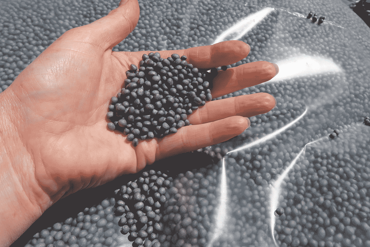 Image alternative text