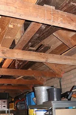 Image alternative text