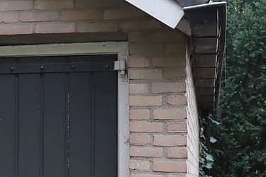 Image alternative text